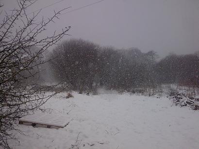 Kind soul that I am, I went out in this to do the chickens and feed the pigs